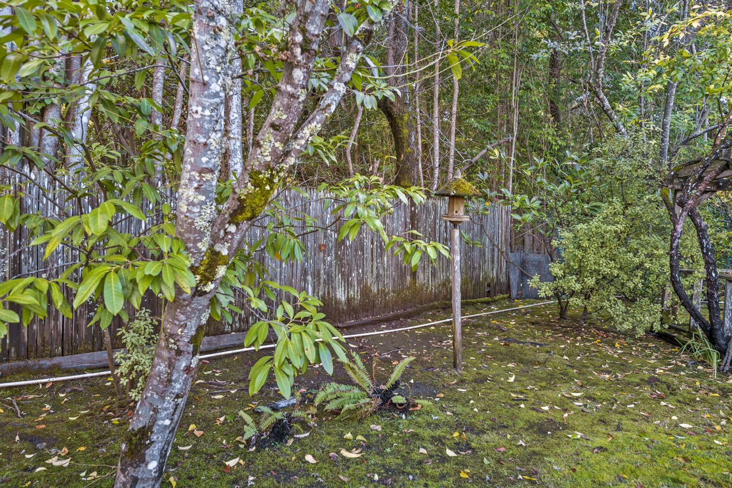 14 Rancheria
