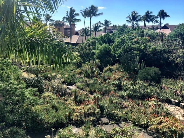 2253 Poipu Rd Unit: 308