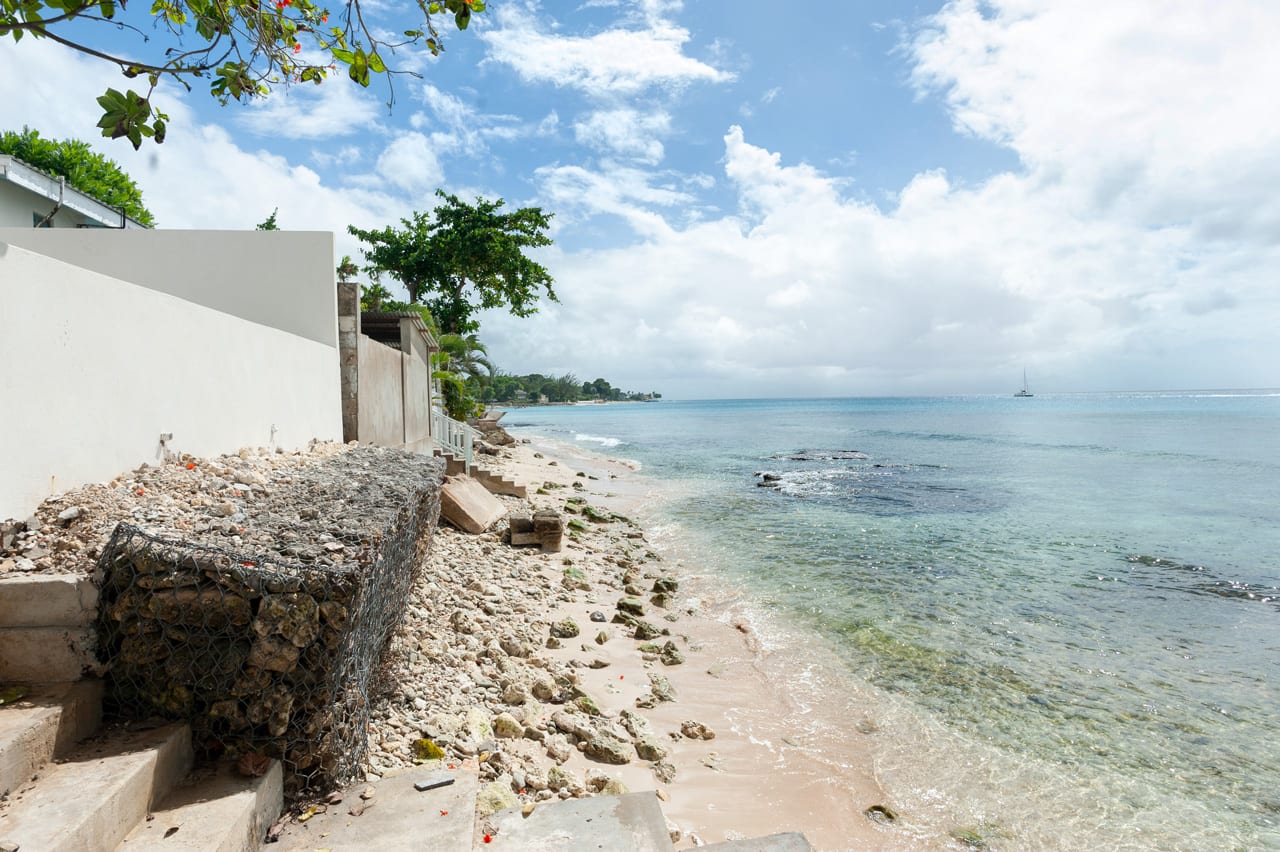 Mullins Reef