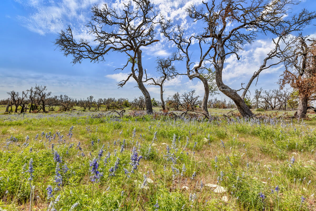 Doss Spring Ranch Place