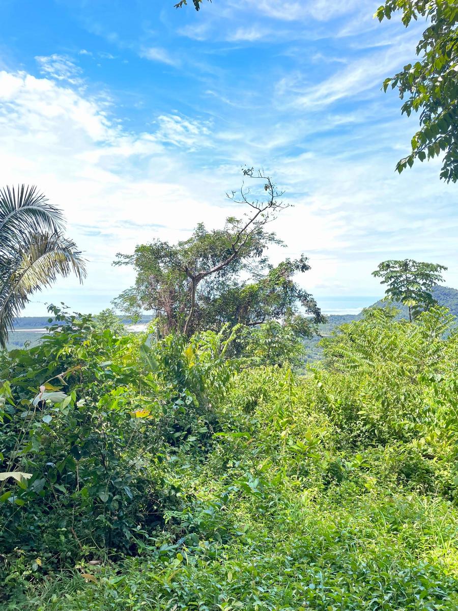 Private Waterfall Ocean View Land, Ojochal, Puntarenas