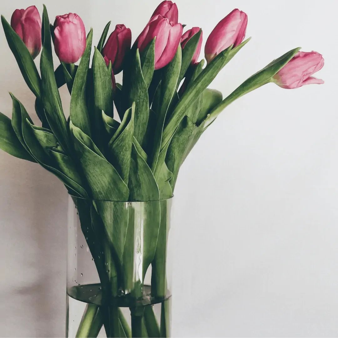 DIY Projects Around Your Home