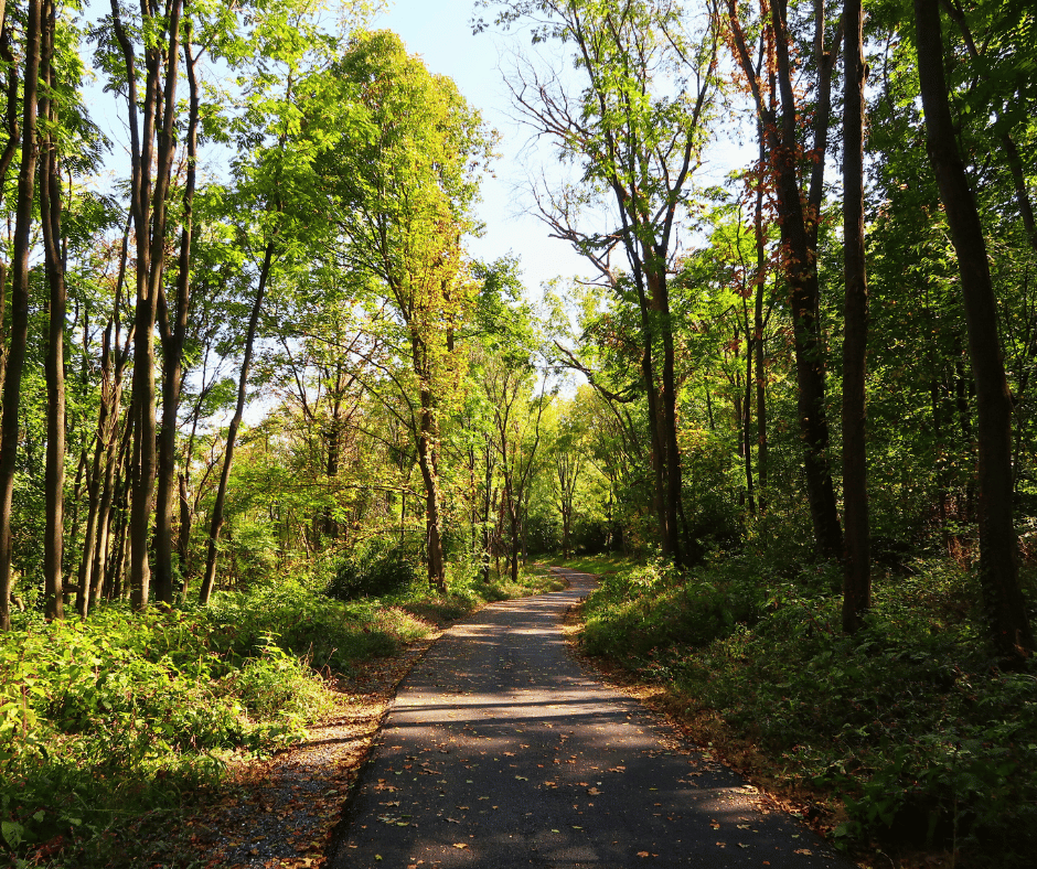 Now Open: Crist Farm Walking Trails