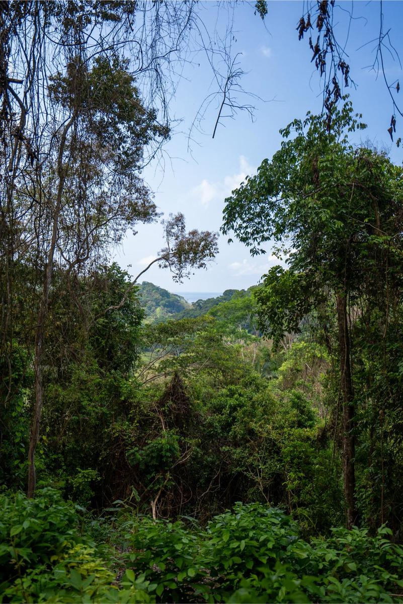 Private Ocean View Development Lot, Dominical, Puntarenas