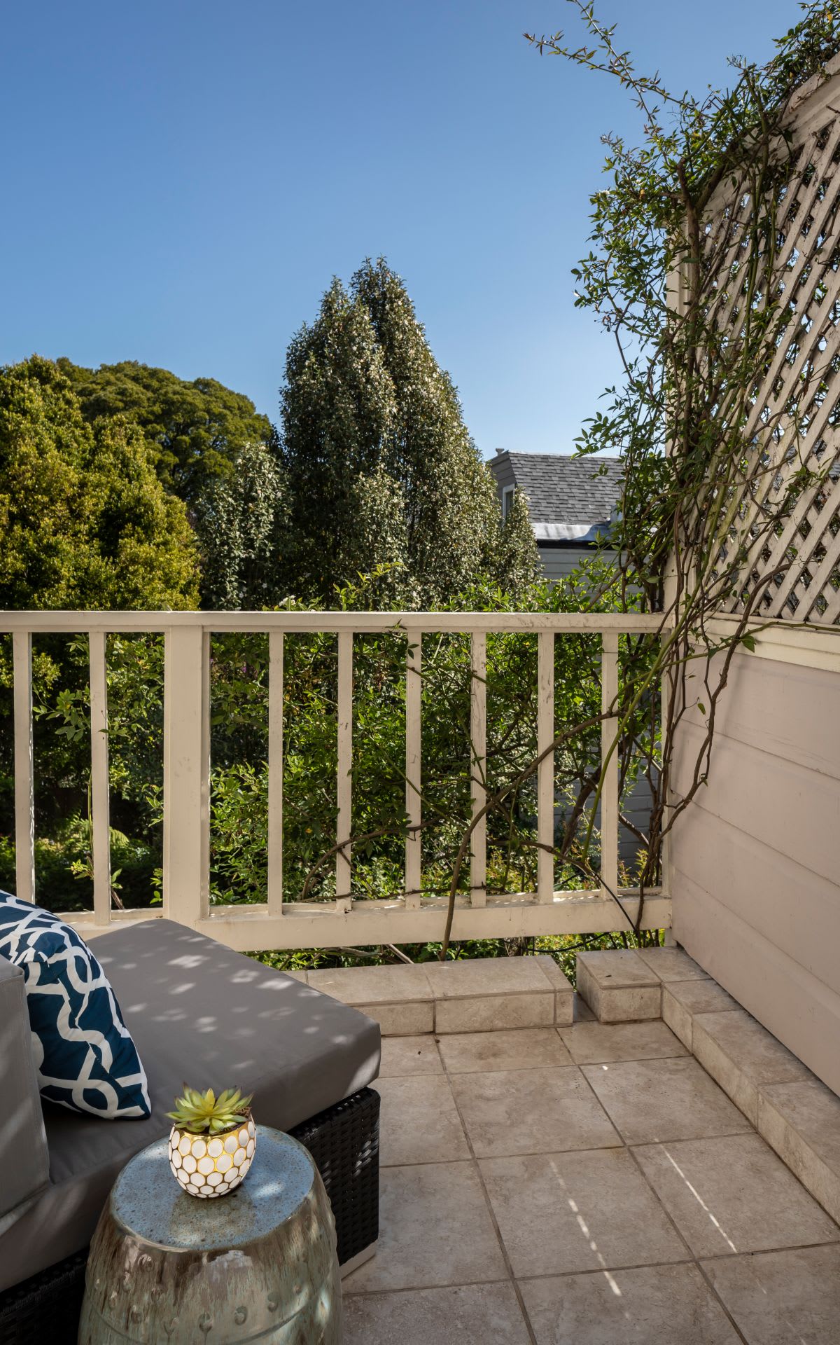 Elegant Home Fronting Alta Plaza Park