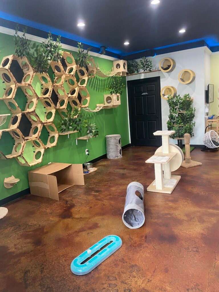 Aristocat Cafe is new to Harrisonburg!