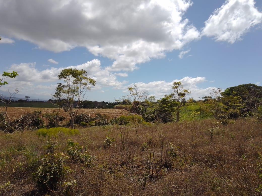 Mountain Fruit Farm Lagoon, Perez Zeledon, San Jose