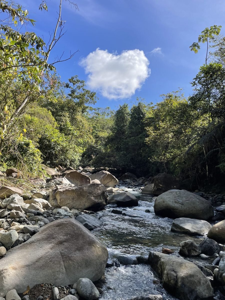 Riverfront Permaculture Farm, Perez Zeledon, San Jose