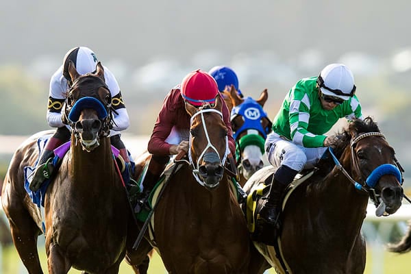 The 2022 Del Mar Racing Season is Here