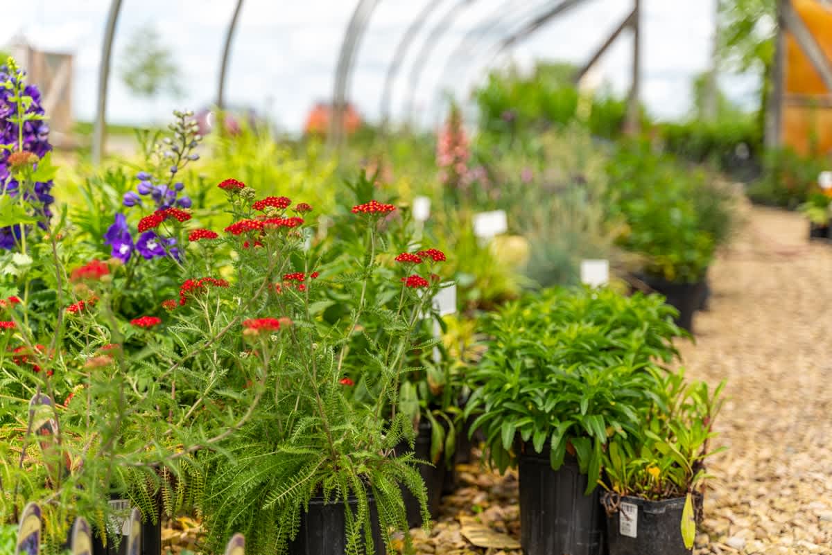 LOCAL LOVE – Summer 2021, Part 1