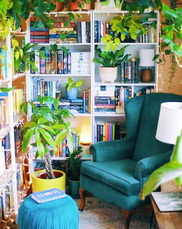 The Nest Library: Organize Your Bookshelf