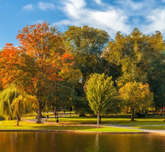 October Real Estate Update