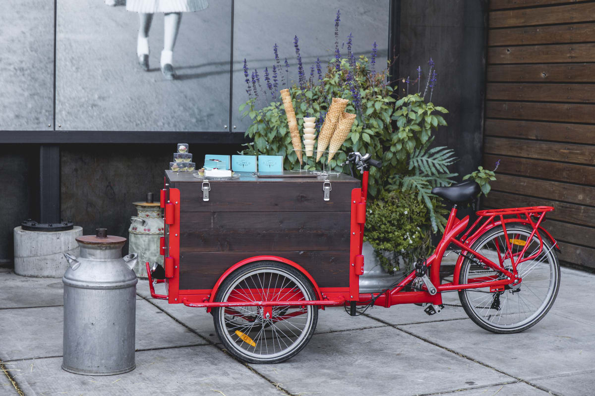 Stapleton Community Event