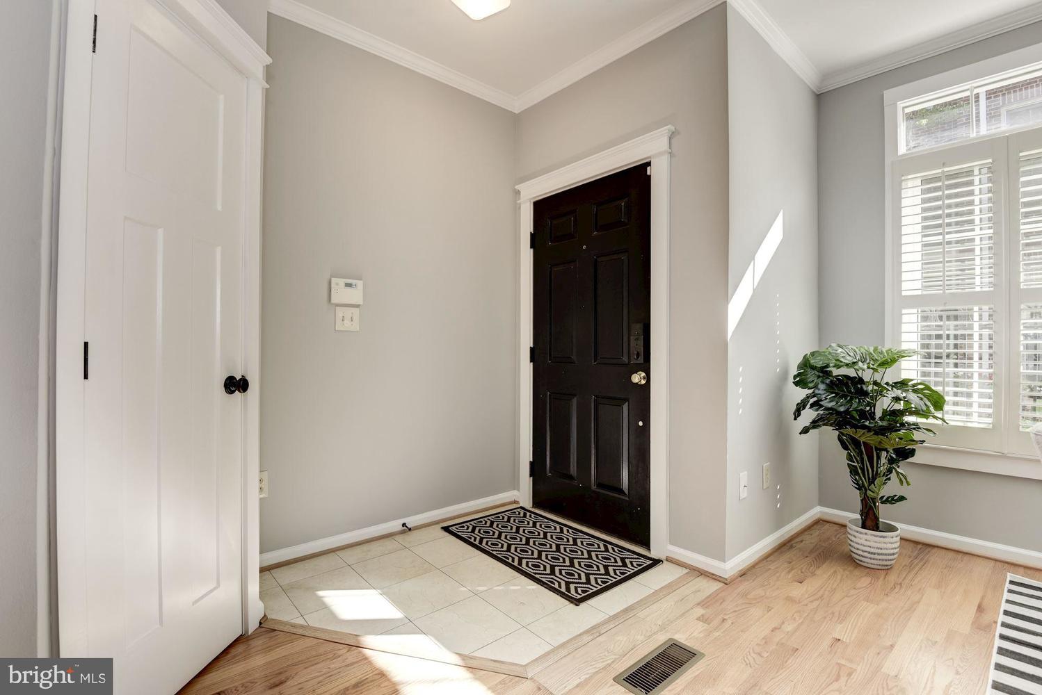 1505 North Colonial Ter