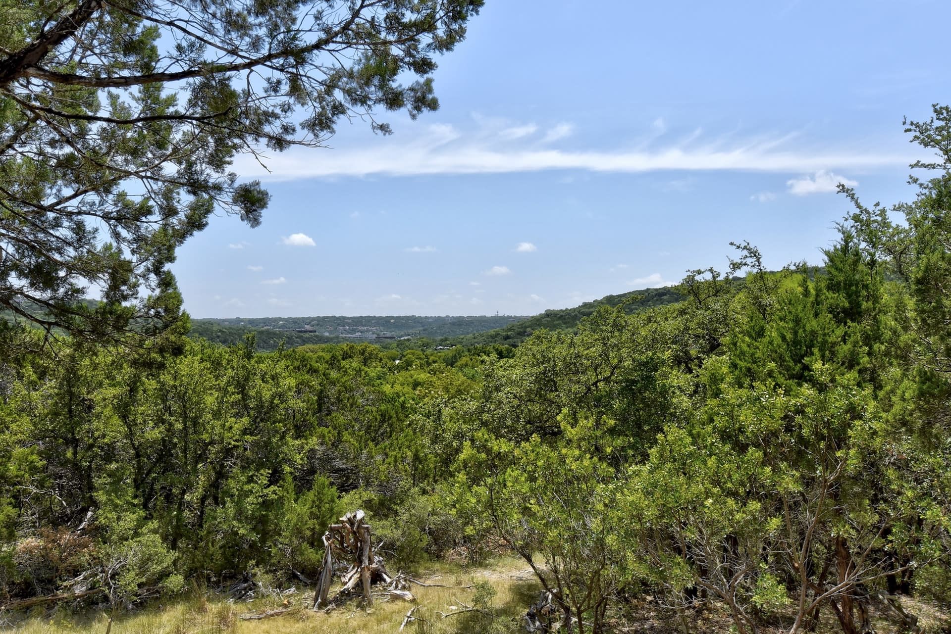Spicewood Springs