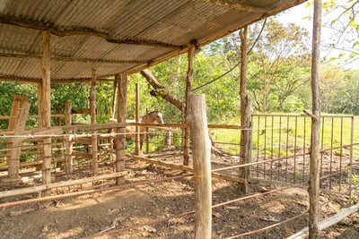 Riverfront Development Acreage, Manuel Antonio, Puntarenas