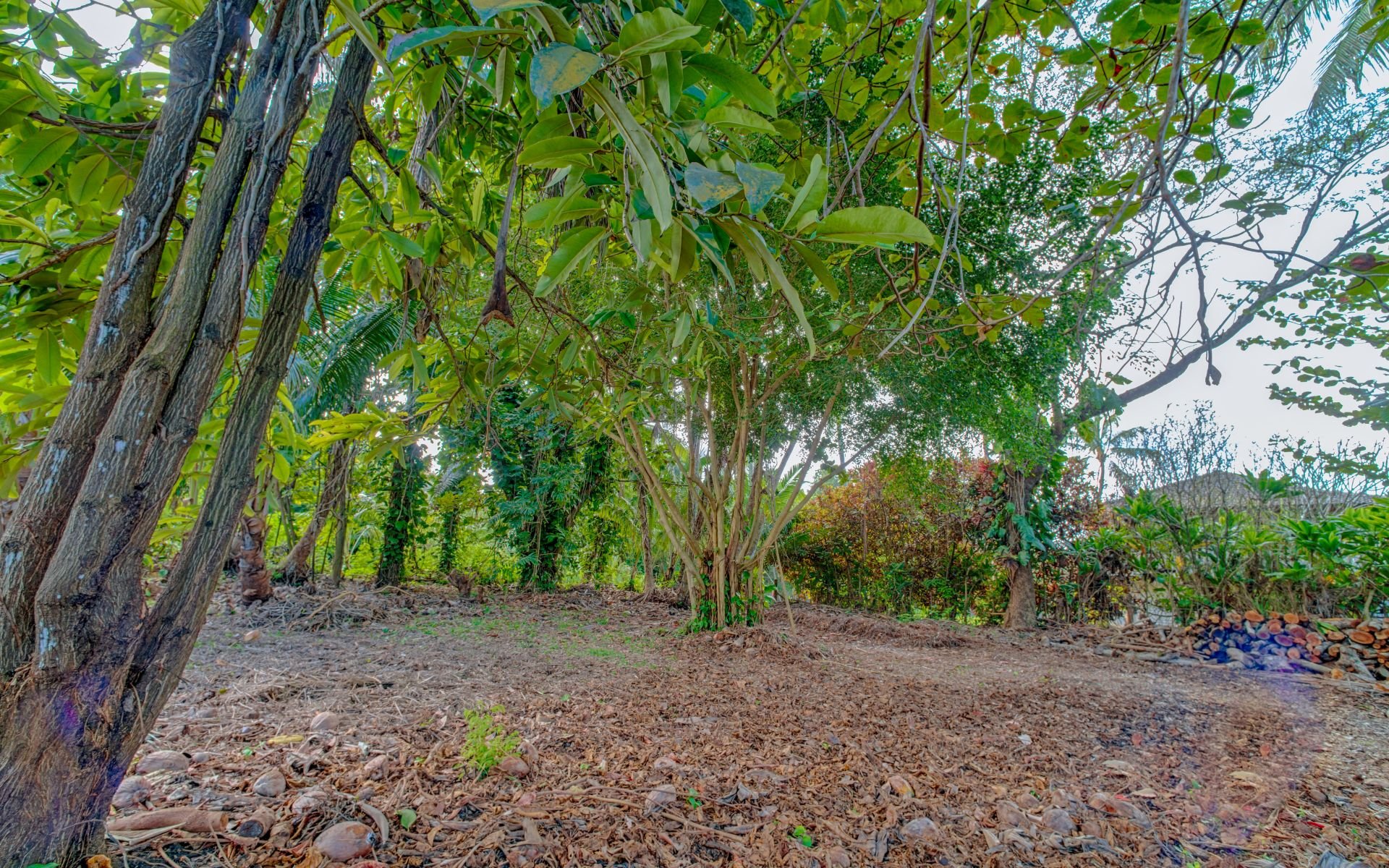 Currently off the market - Call for details