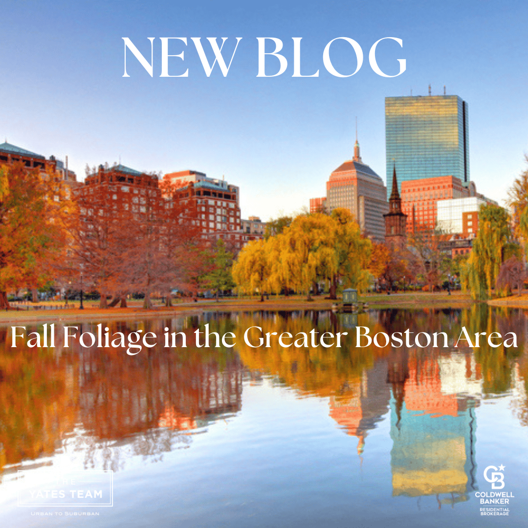 Experiencing Fall Foliage in Greater Boston: A Perfect Autumn Getaway