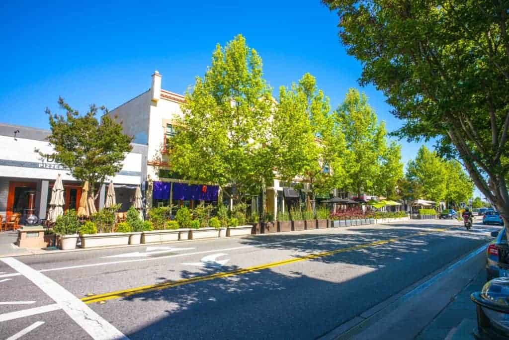 San Jose Street trees are so valuable!