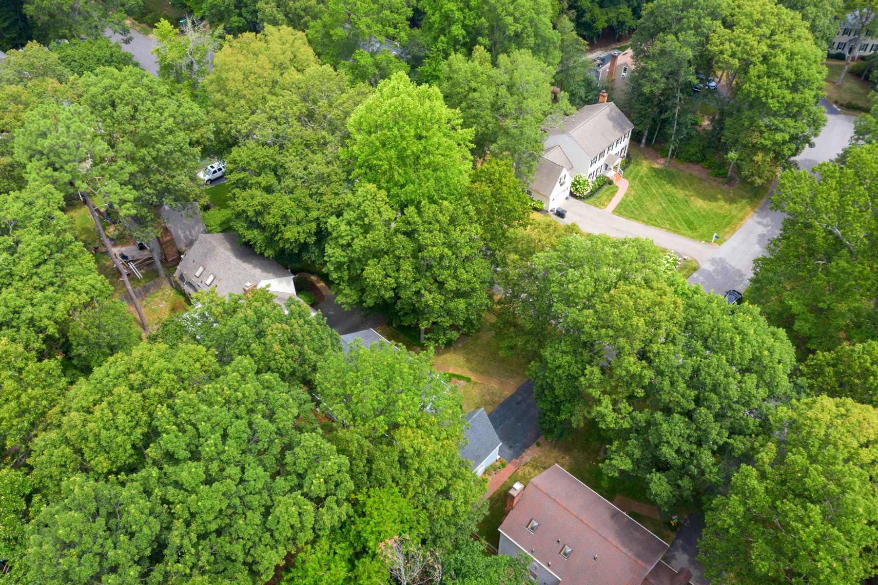 12819 Ashtree Road
