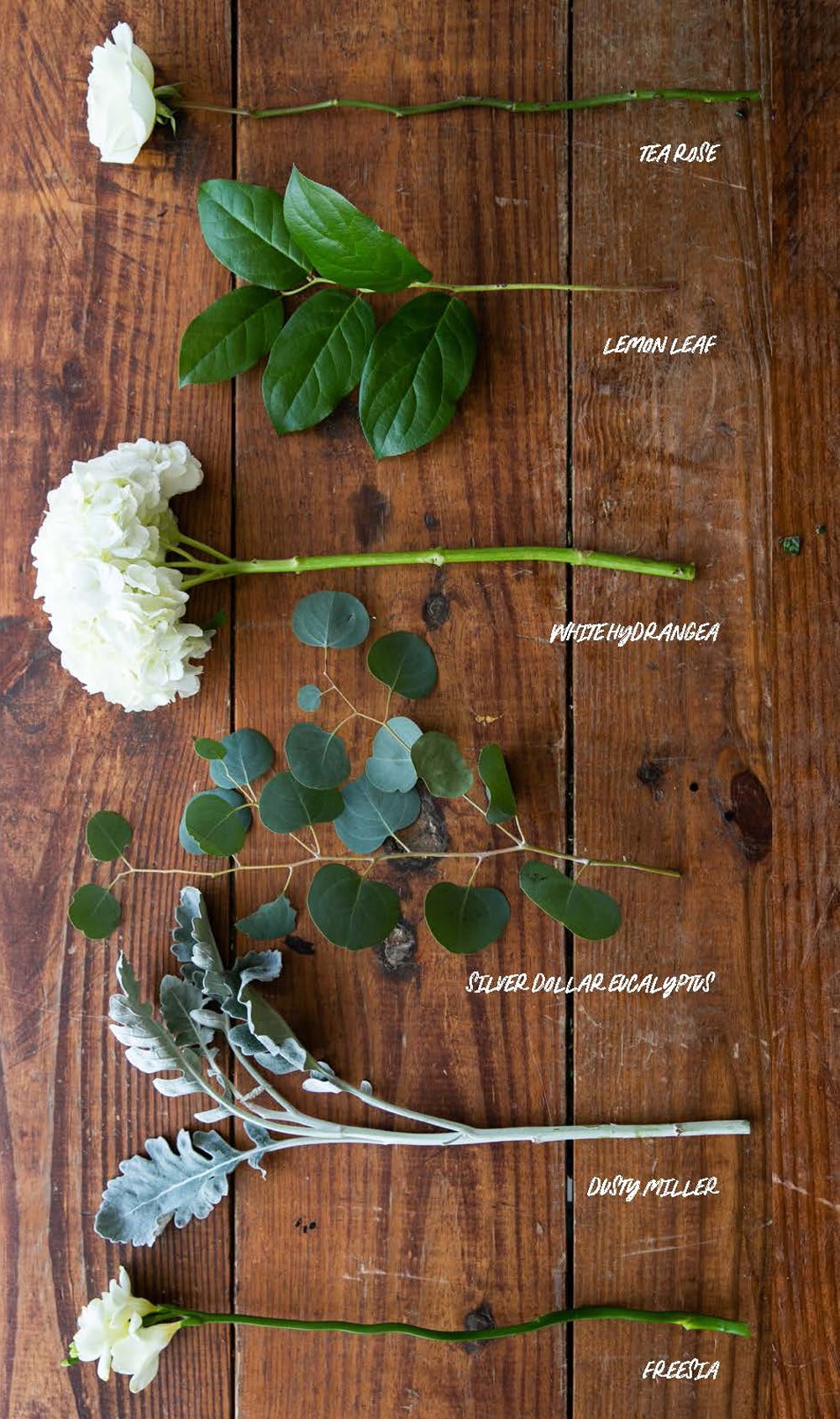 winter florals