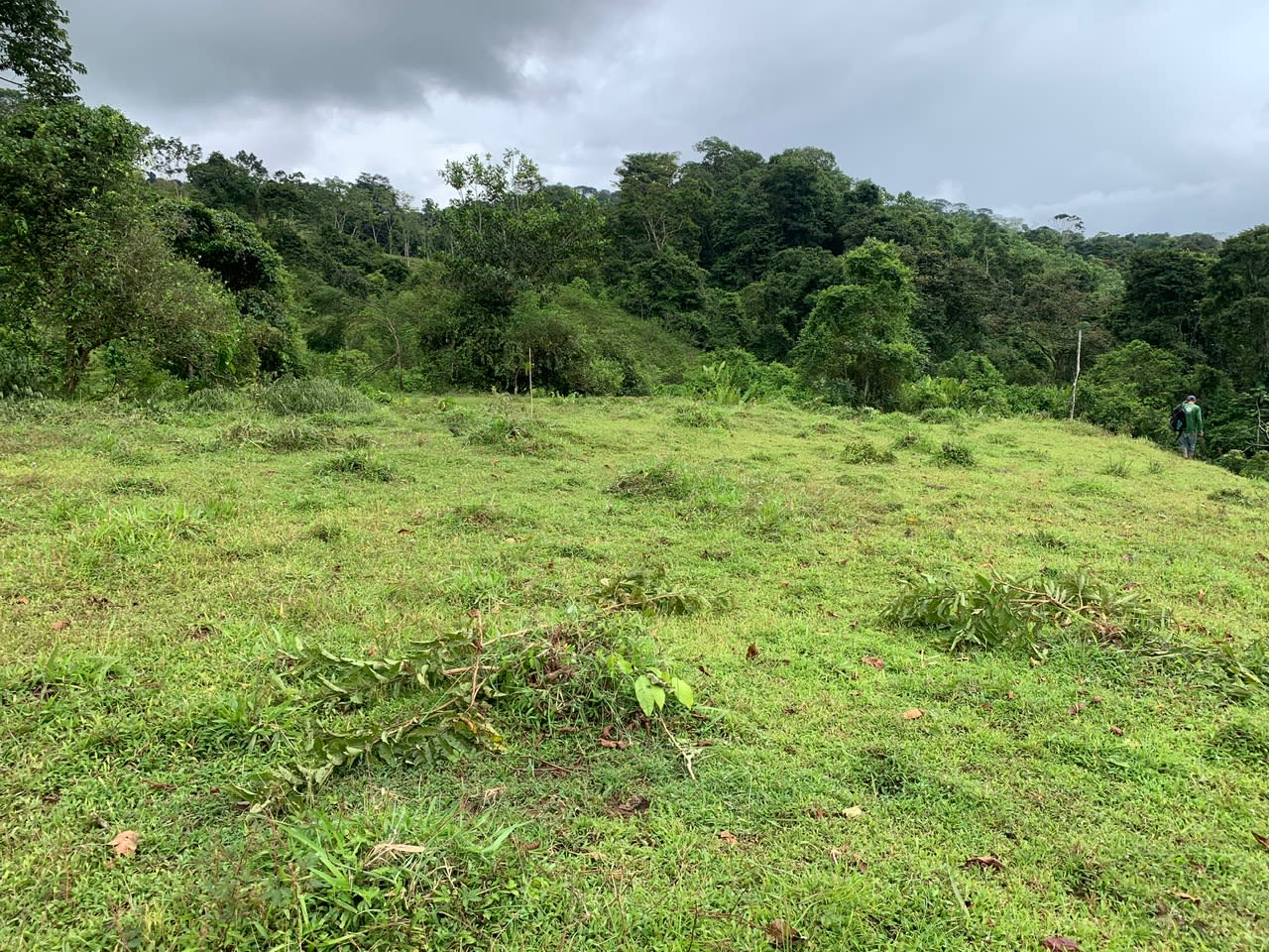 27.6 Acres On The Rio Morenos