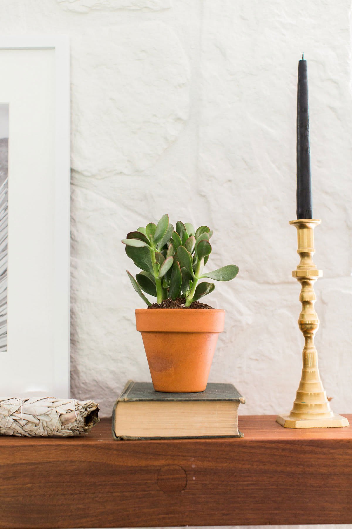 House Tour: Collected Modern