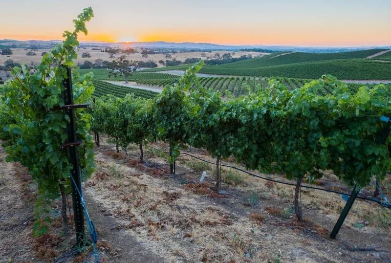  Paso Robles AVA