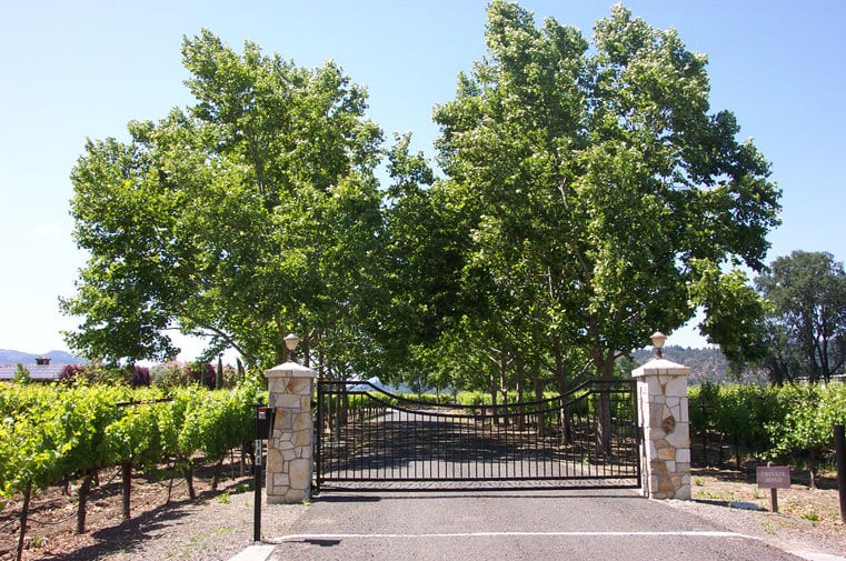 Premium Zinfandel Lane Vineyard - SOLD