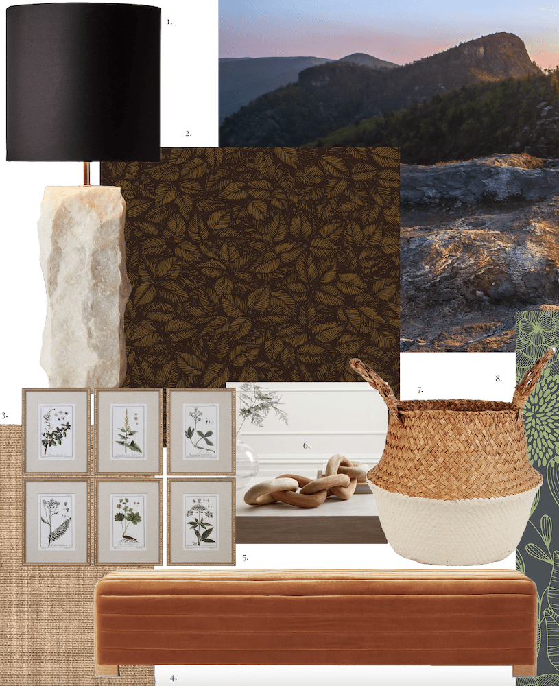 Nature-Inspired Interiors: Allowing Nature to Drive Your Design