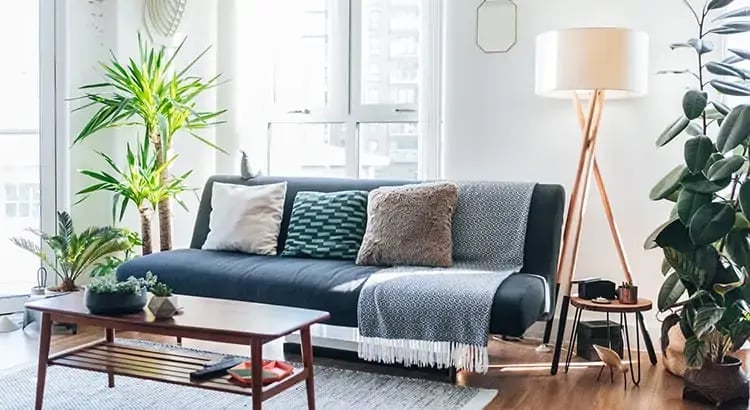 A stylish living room with a dark gray couch, a coffee table, a plant, and a floor lamp. The room has a cozy and contemporary feel with natural light coming in through the windows.