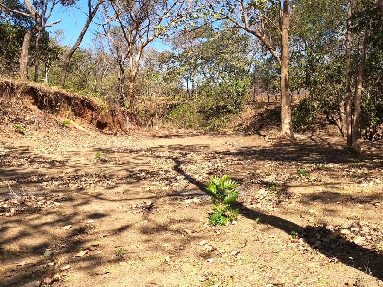 Land of your dreams | Large Lot with 2 Road Accesses