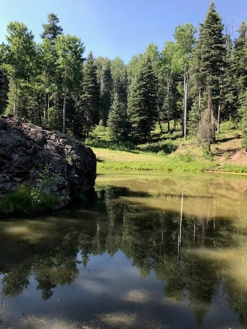 Southern Colorado Riverfront Mountain Ranch