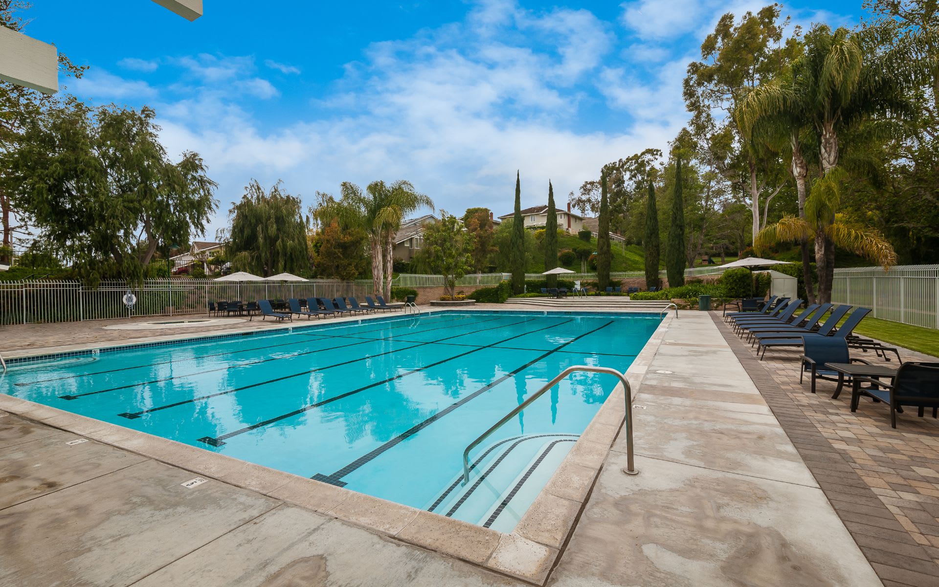 15 Bluff View