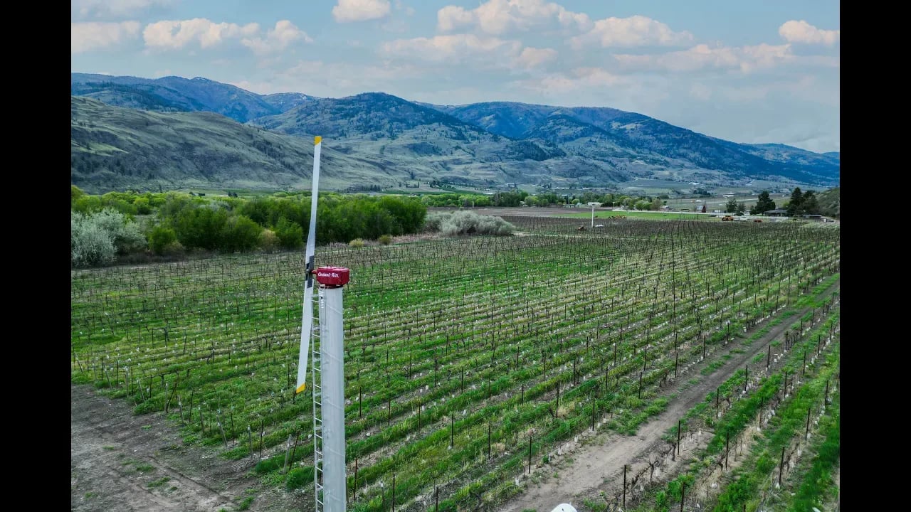 Black Sage Bench Vineyard | 4363 Ryegrass Road Oliver, BC