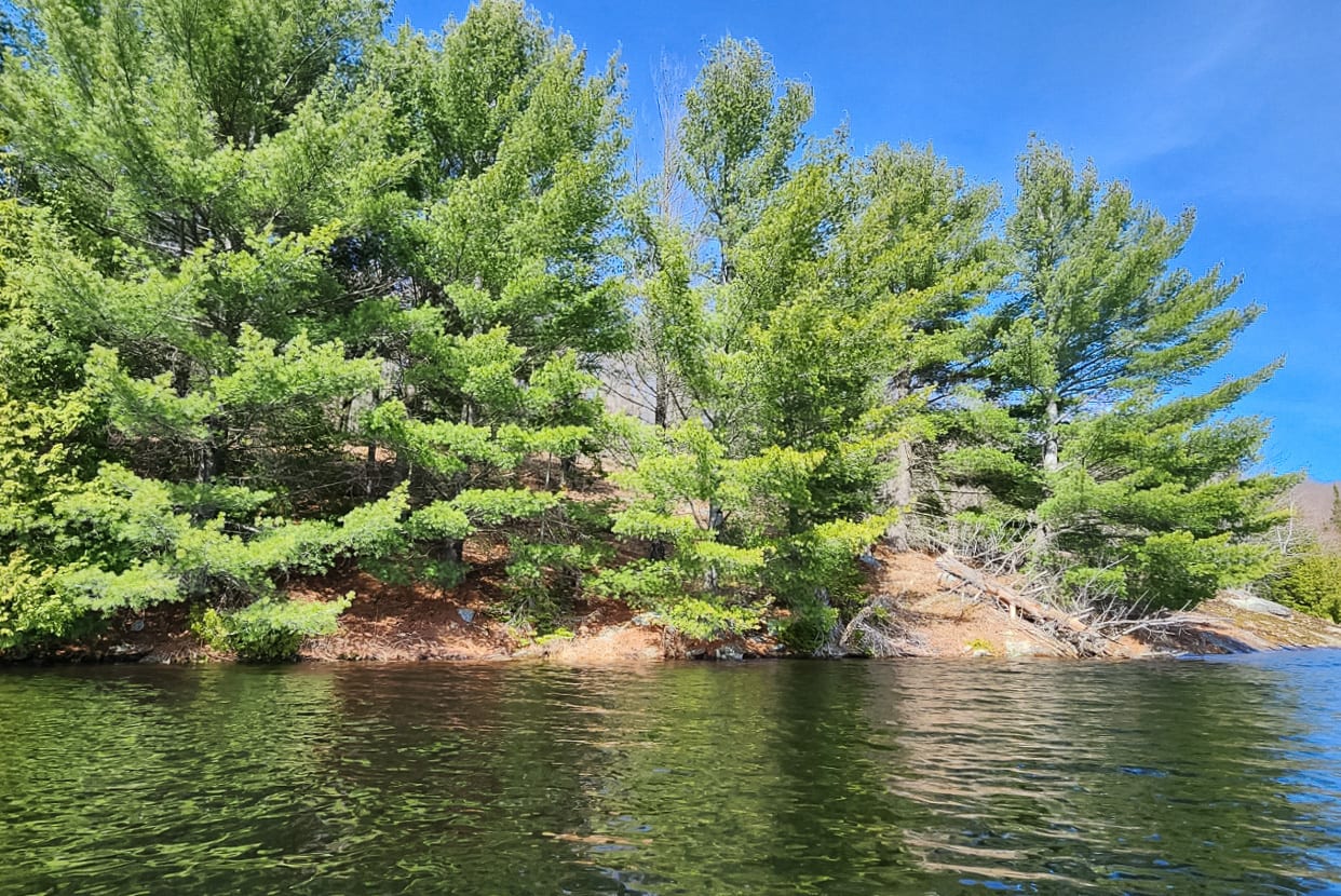 Fern Glen Road Round Lake 