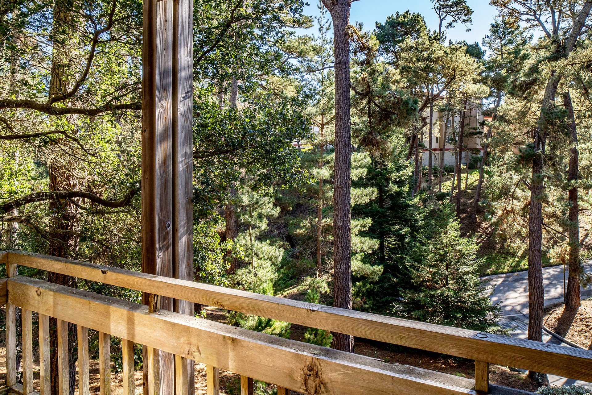 Carmel Forest Views - 24520 Outlook Drive #9