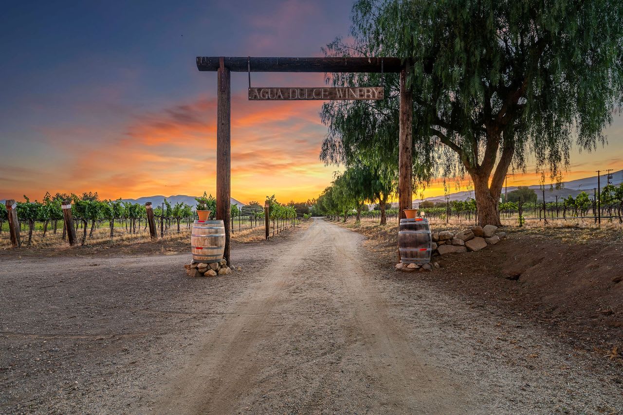 Path leading into the vineyard at dusk on a Los Angeles winery property for sale.