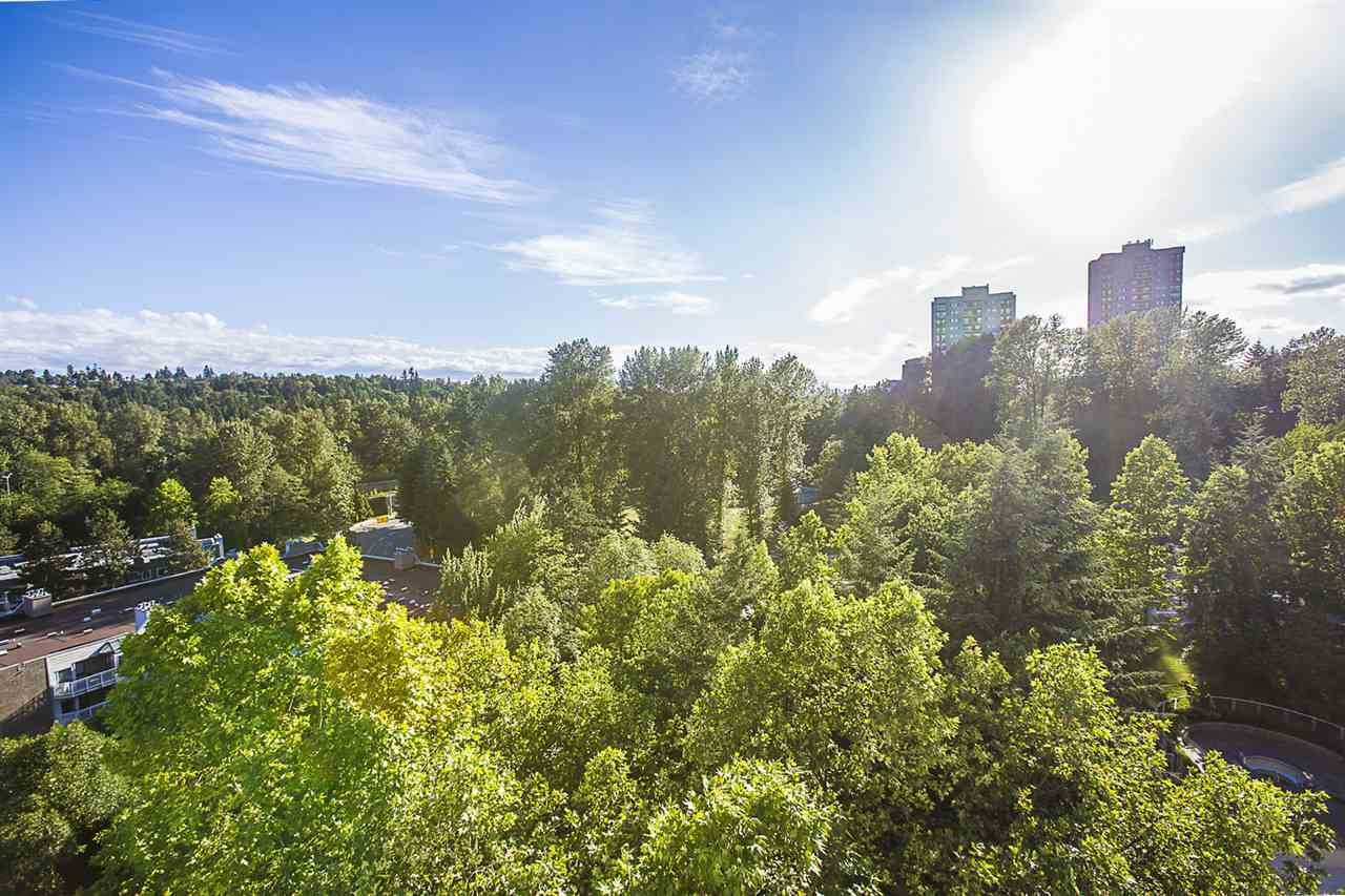 807-9623 Manchester Dr
