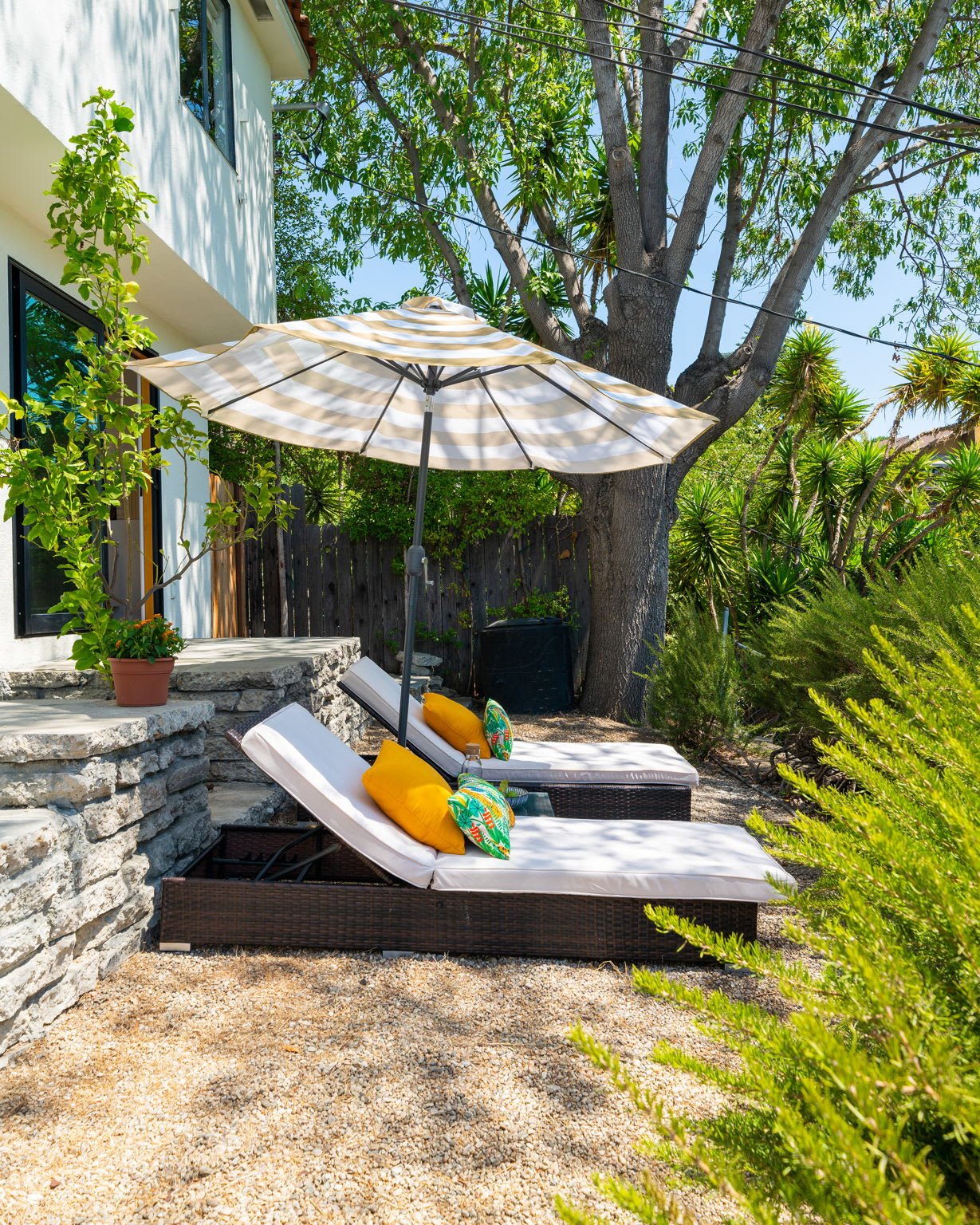 Hip Mid Century Traditional in Franklin Hills 