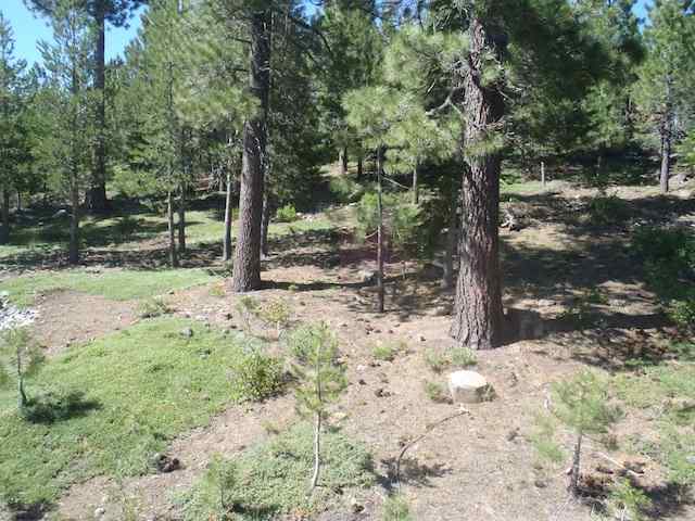 15138 Alder Creek Rd