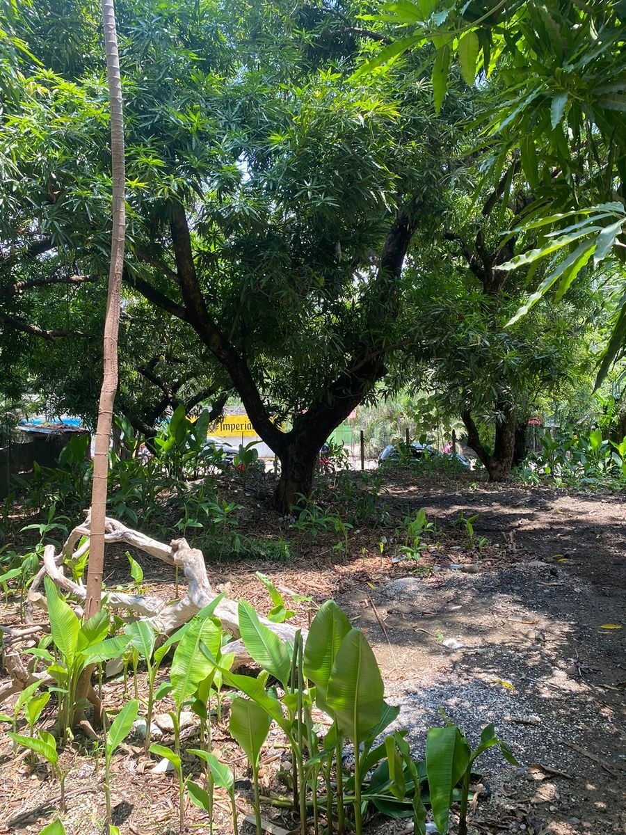 Prime Commercial Development Land, Santa Teresa, Puntarenas