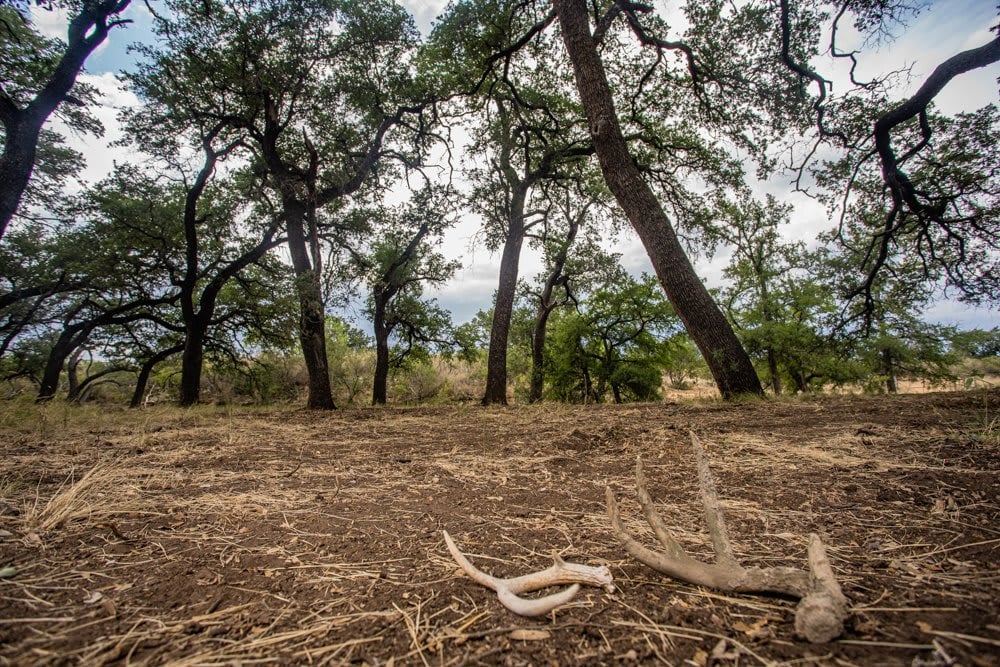 Llano River