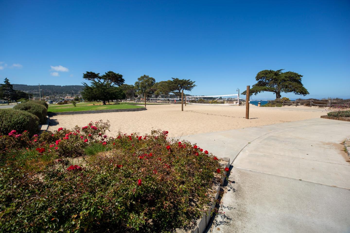 Beachside volleyball court beside a rose garden and walkway, with the ocean visible in the distance.