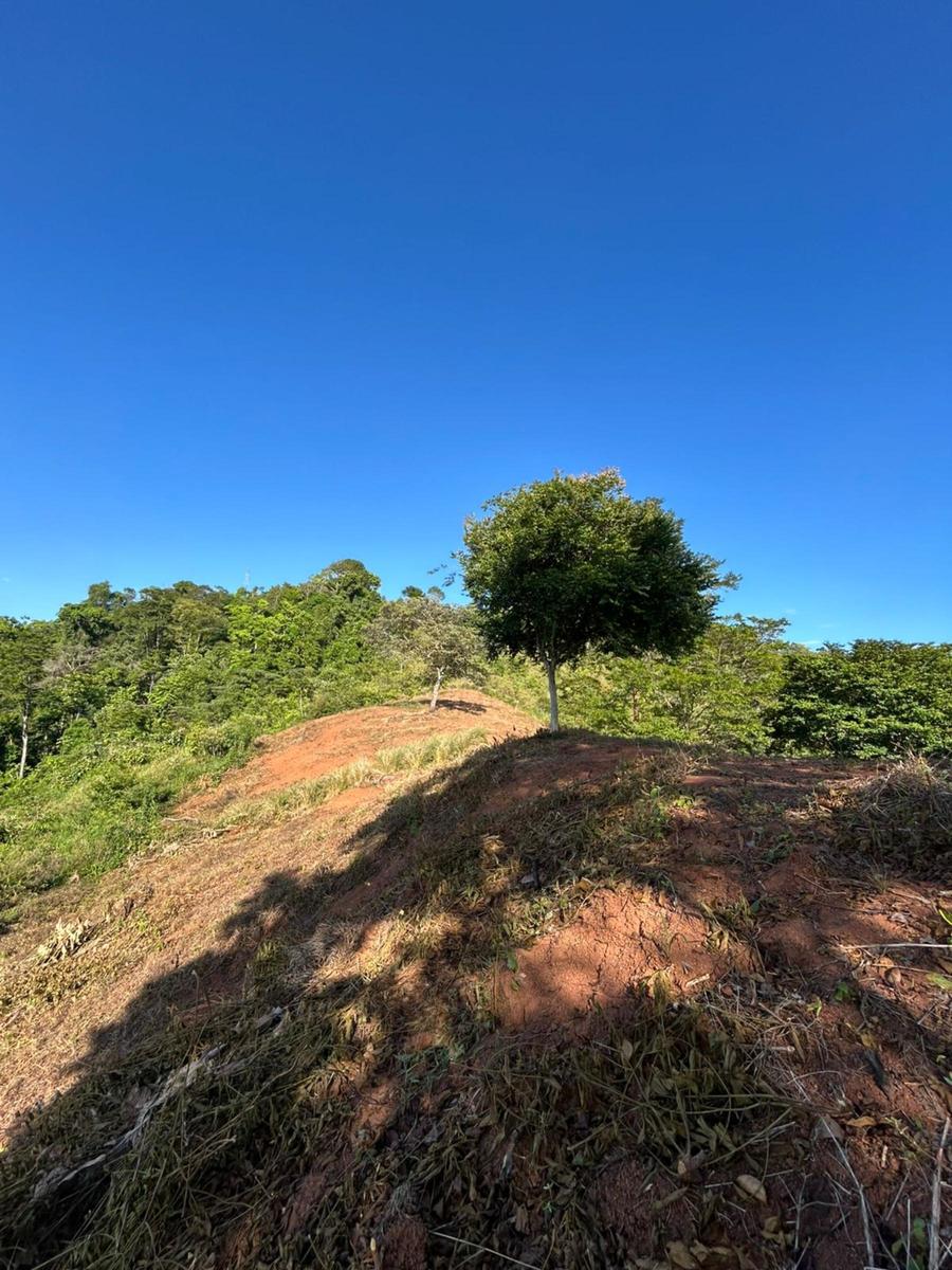 Waterfall Eco Development Land, Osa, Puntarenas