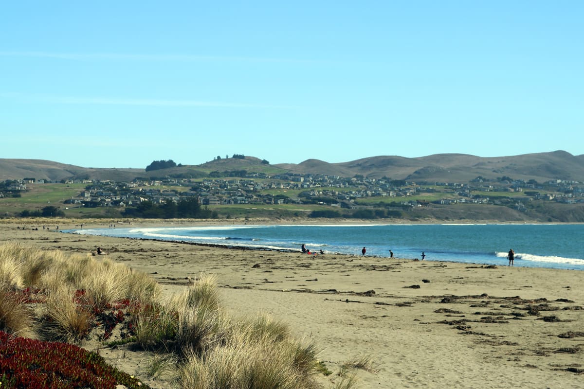 Bodega Bay