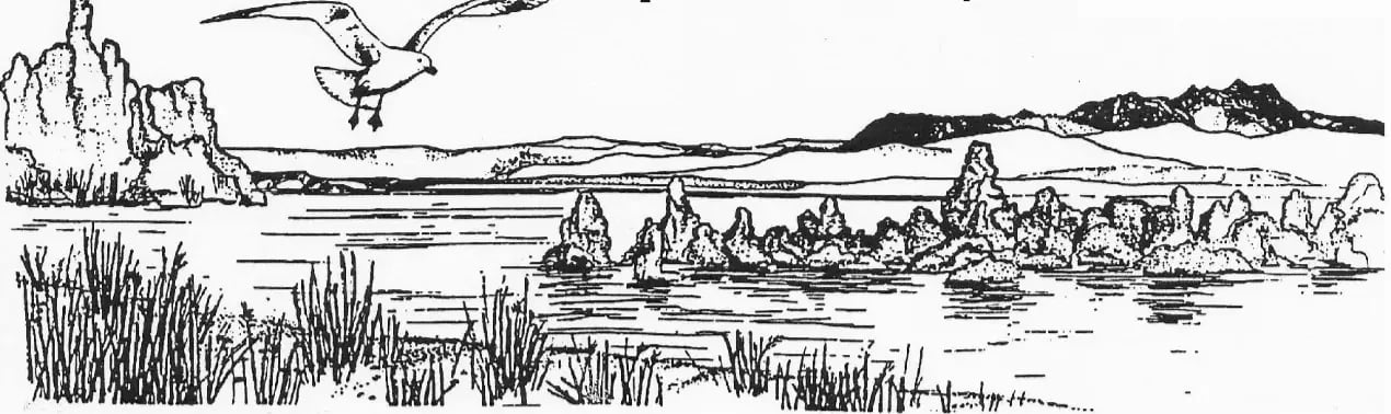 Mono Basin Summer Interpretive Programs