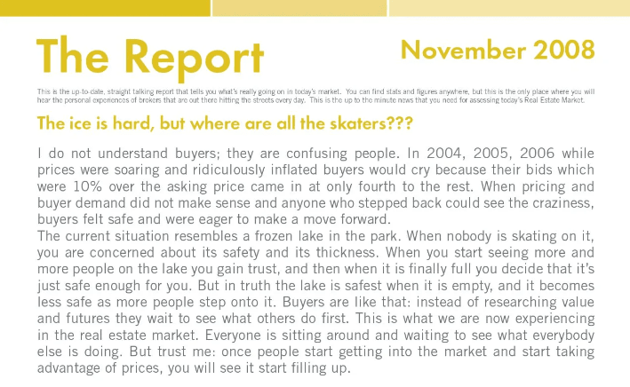 The Meier Report - November 2008