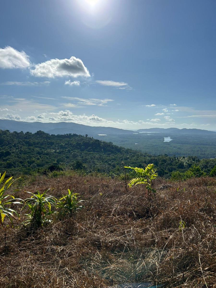 Waterfall Eco Development Land, Osa, Puntarenas