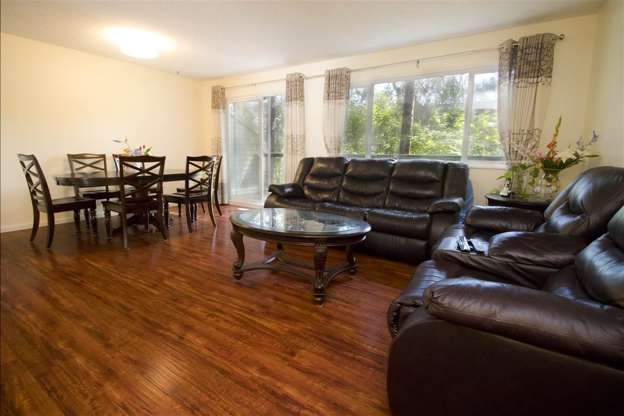 7329 Capistrano Dr